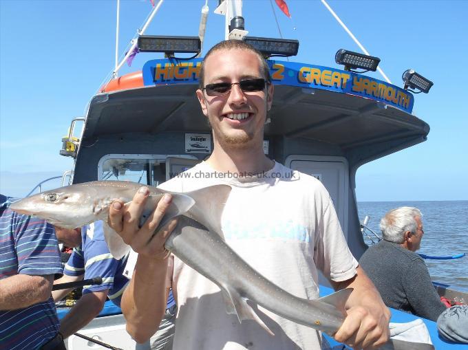 4 lb Starry Smooth-hound by Lorton