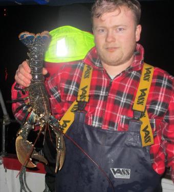 1 lb 10 oz Lobster by Tom Morgan