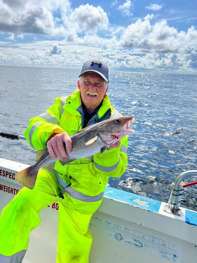 3 lb 3 oz Cod by Unknown