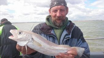 2 lb Whiting by Pete the pirate,