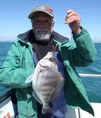 2 lb 12 oz Black Sea Bream by Ian Youngs