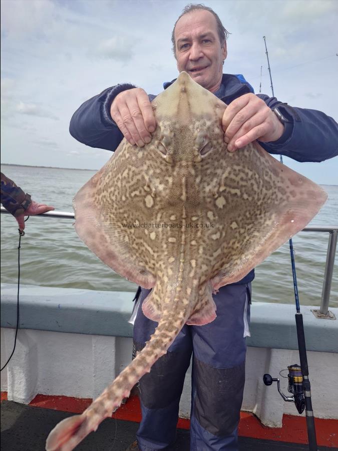 15 lb Thornback Ray by Roger