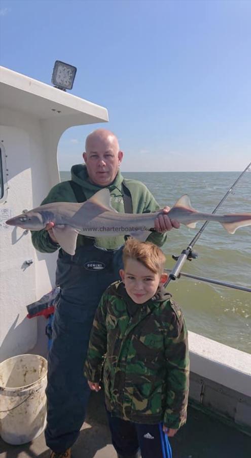 12 lb 5 oz Smooth-hound (Common) by Lee,