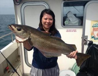 10 lb 4 oz Pollock by Anthony Parry