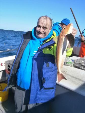 4 lb 8 oz Tub Gurnard by charlie