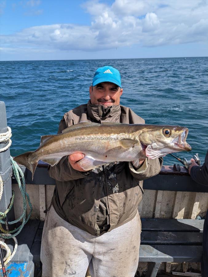 6 lb 9 oz Pollock by Mark