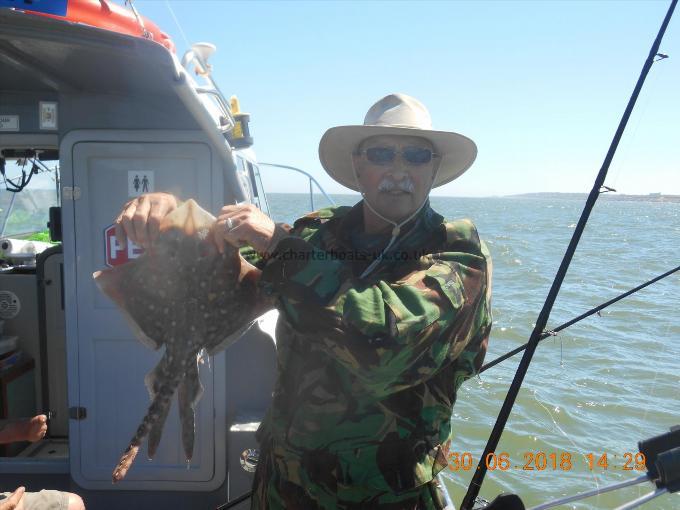 3 lb 5 oz Thornback Ray by Ken