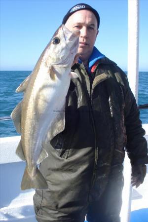 9 lb Pollock by Dave's Mate