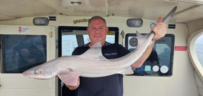 13 lb Starry Smooth-hound by Bill