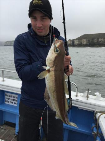 4 lb 8 oz Pollock by adam from oldham 8th may 2015