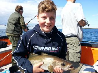 5 lb 7 oz Pollock by Niall