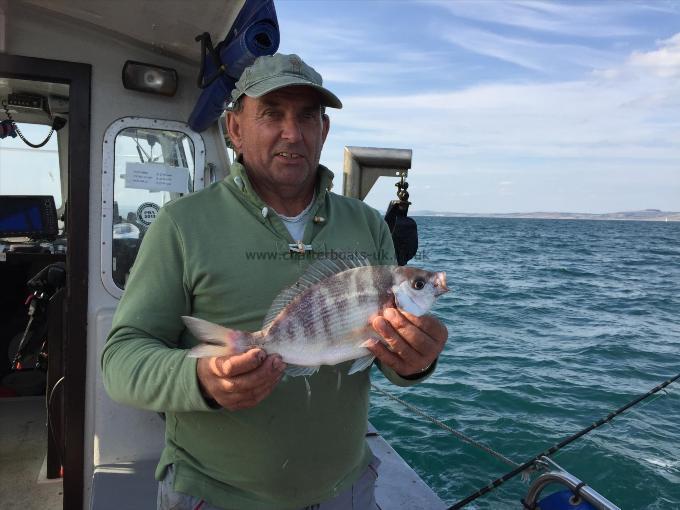 2 lb Black Sea Bream by Tony Hayter