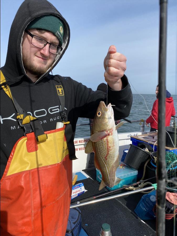 1 lb 14 oz Cod by Charlie Ward.