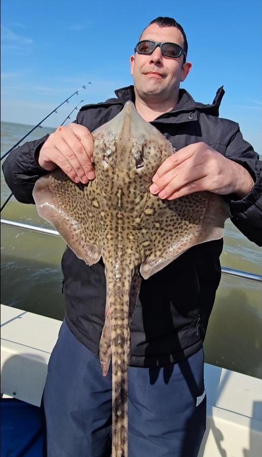4 lb 14 oz Thornback Ray by Mike