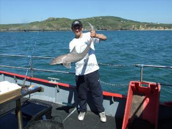 8 lb 6 oz Starry Smooth-hound by Unknown