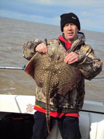 8 lb 5 oz Thornback Ray by Phil Knapp