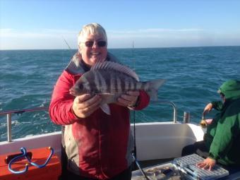 3 lb Black Sea Bream by Roy Shipway