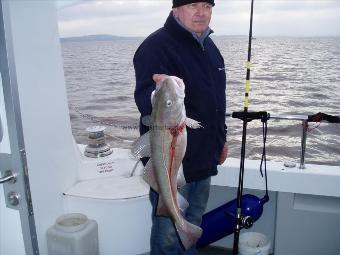 8 lb Cod by Paul