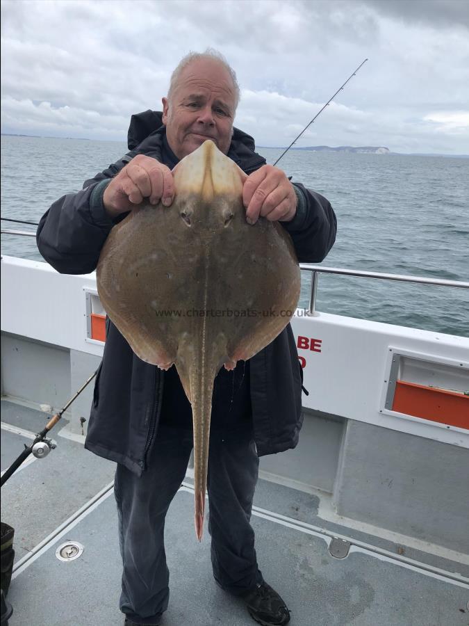 6 lb 8 oz Small-Eyed Ray by Anth