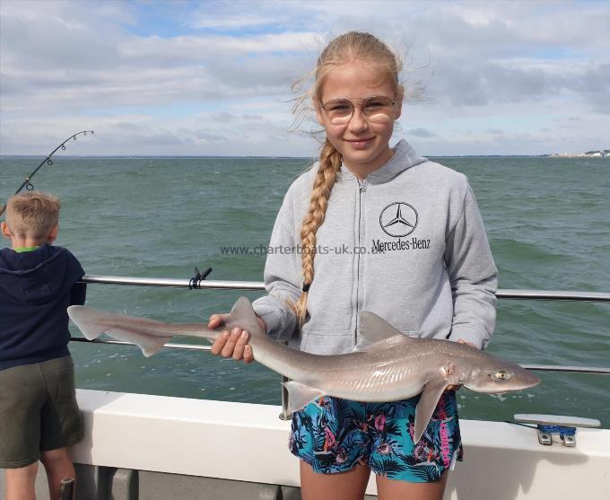 6 lb Smooth-hound by Bob Marshall