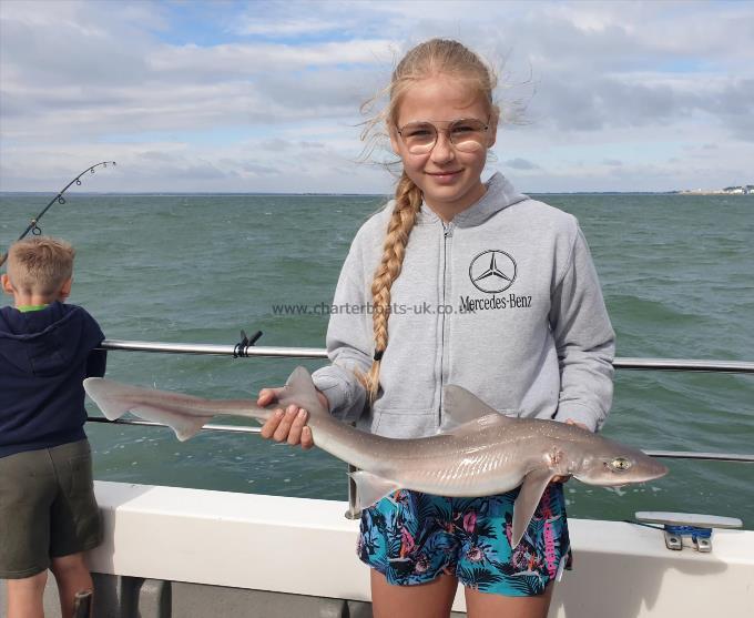 6 lb Smooth-hound (Common) by Bob Marshall