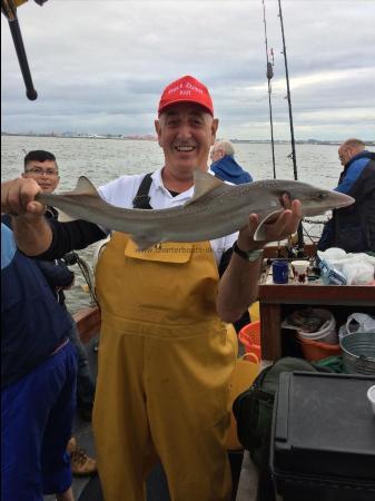 6 lb 5 oz Starry Smooth-hound by Karl