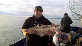 8 lb Pollock by Stephen Wake