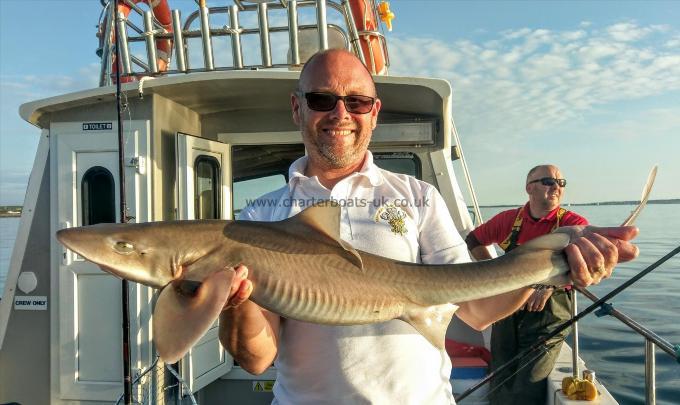 6 lb Starry Smooth-hound by Unknown