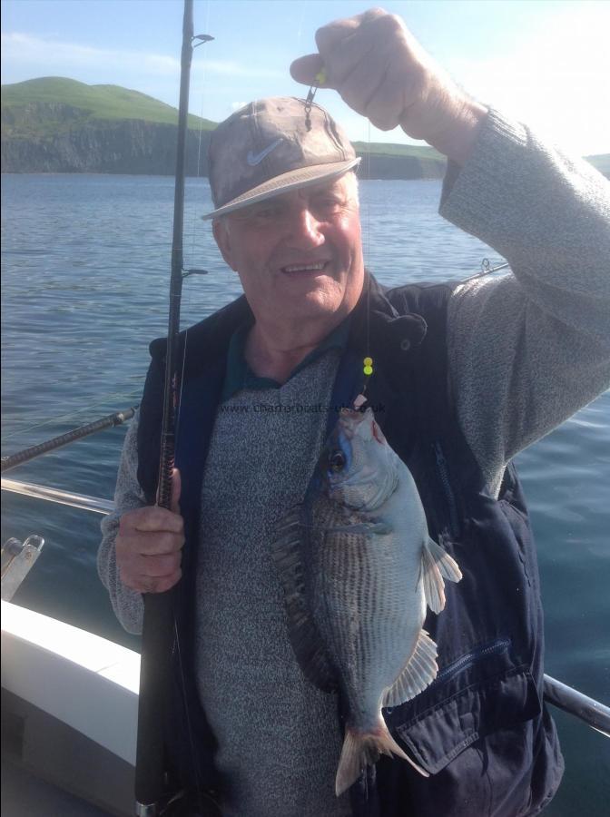 2 lb 12 oz Black Sea Bream by John Andrews