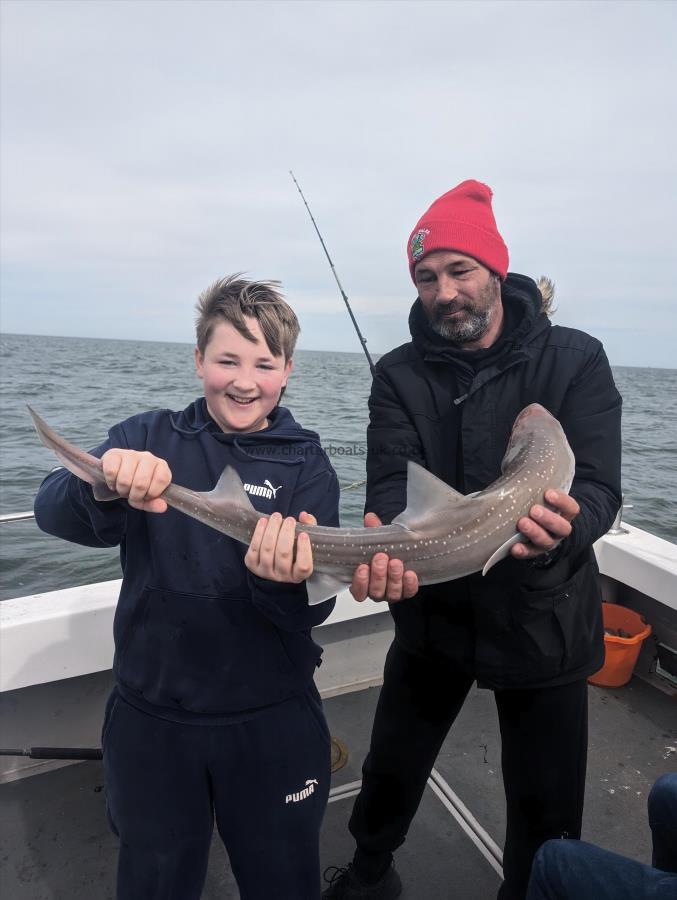 6 lb Smooth-hound by Percy