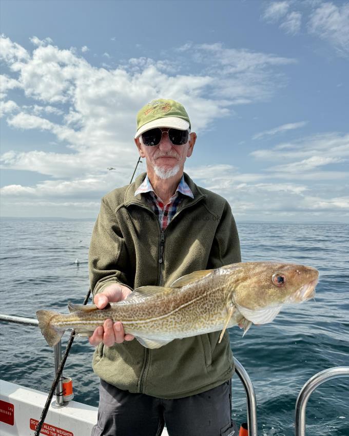 4 lb 12 oz Cod by Dave Worsfold