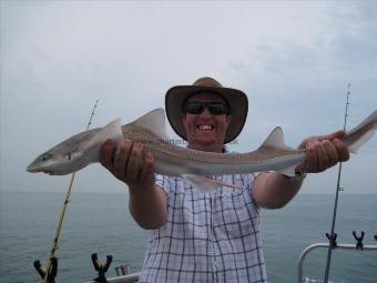 8 lb 8 oz Smooth-hound by Andy