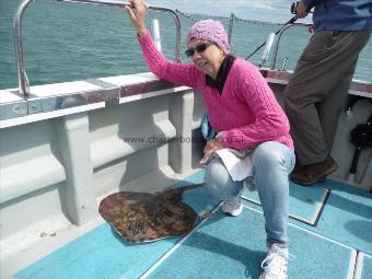 10 lb Undulate Ray by Julie