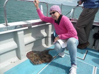 10 lb Undulate Ray by Julie