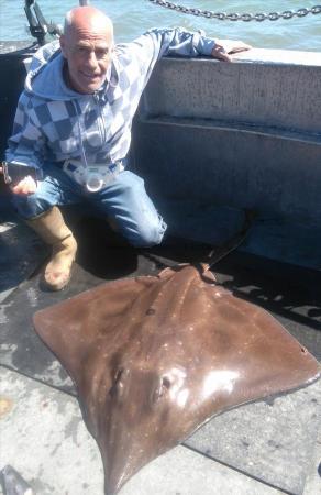 64 lb Common Skate by lee