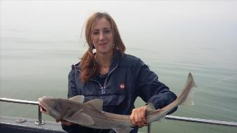 8 lb Smooth-hound by Carl party