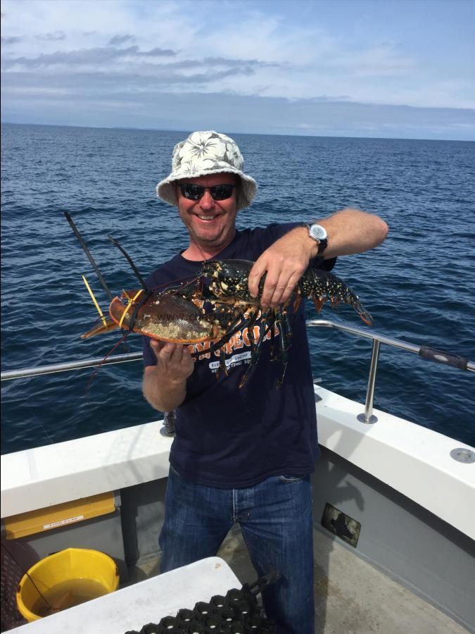 5 lb Lobster by Unknown