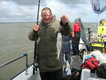 2 lb Whiting by Ady