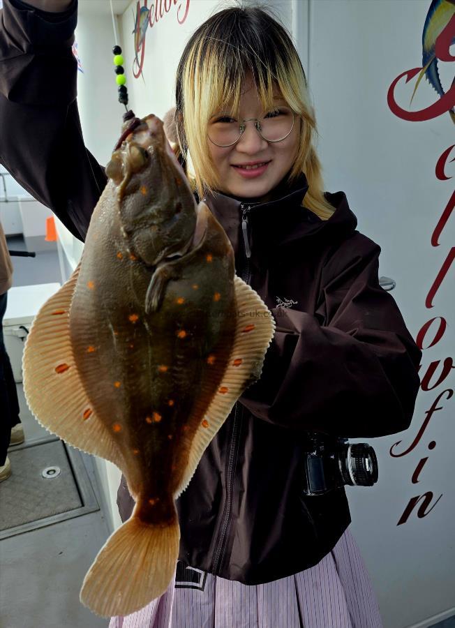 2 lb Plaice by Unknown