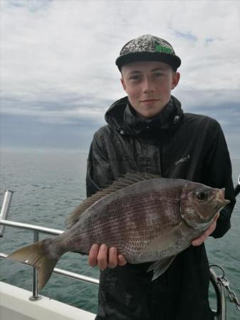 3 lb 8 oz Black Sea Bream by Unknown