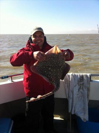 8 lb Thornback Ray by Steli