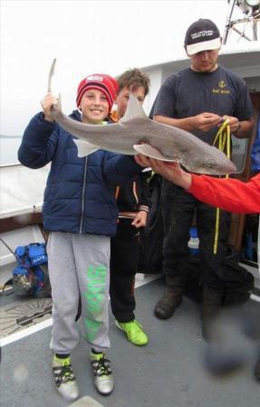 10 lb Smooth-hound (Common) by Unknown