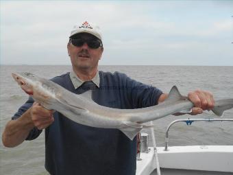 6 lb 5 oz Starry Smooth-hound by Len Andrews