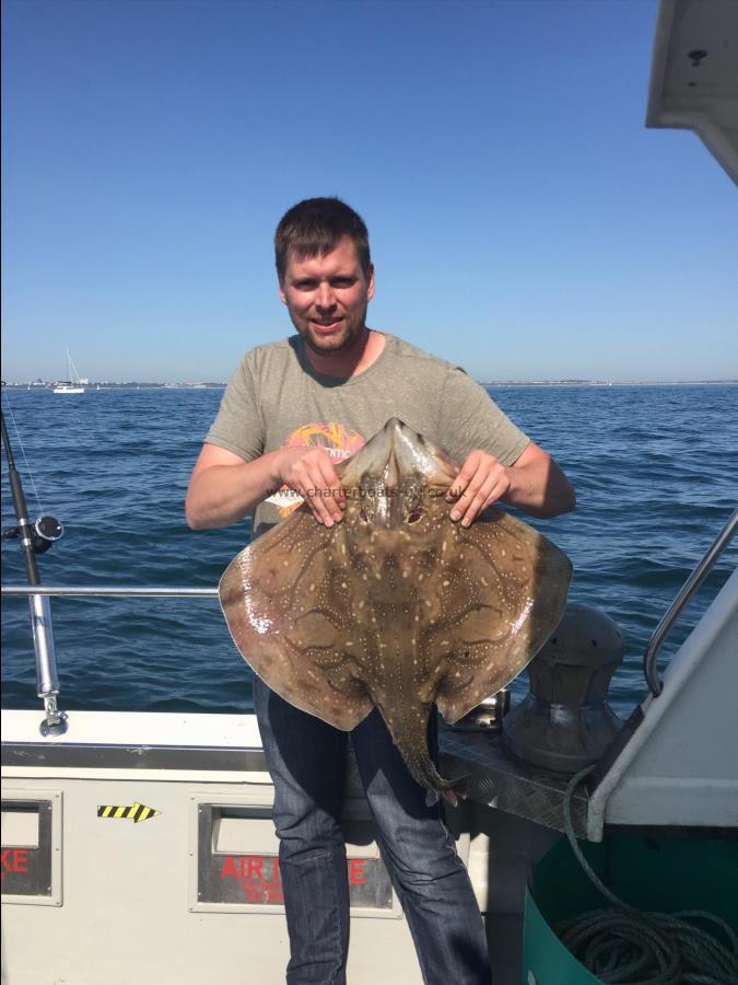 14 lb Undulate Ray by Robin