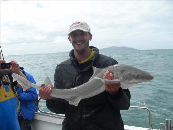 13 lb Starry Smooth-hound by Unknown