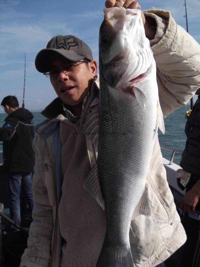 1 lb Bass by Unknown