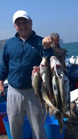 8 lb Cod by adam  from leeds with his string full of fish