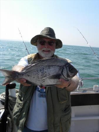 3 lb Black Sea Bream by Unknown