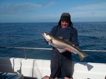 9 lb Pollock by Dave