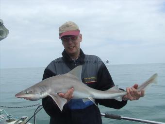 11 lb 3 oz Smooth-hound (Common) by stuart
